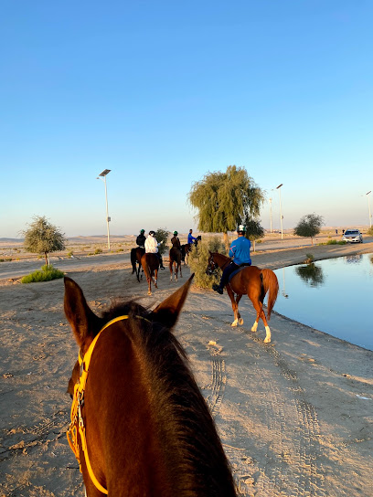 Rabdan Equestrian Club - United Arab Emirates|Al Wathbah - Abu Dhabi|5QG5+MFR
