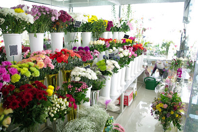 NB Flowers ان بی للزهور - Ajman - +971 9 222 2004