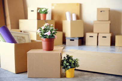 Spring Furniture Abu Dhabi - Ajman -