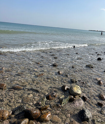 عريش أم سيف للمأكولات الشعبيه - Ajman - +971 50 434 1202