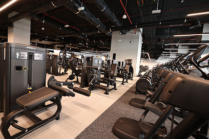 Wellfit JVC - Ajman - +971 4 702 0700