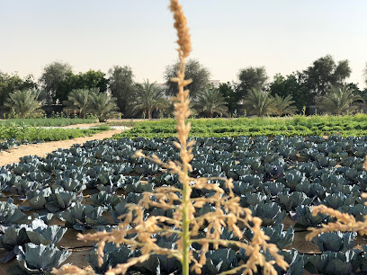 Organic Oasis Farm - Ajman - +971 4 269 9919