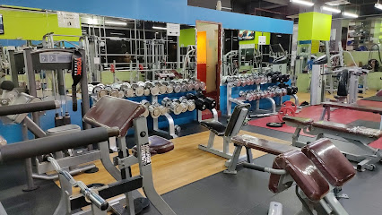 Platinum Gym - Dubai - +971 2 665 6188