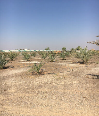 Alshaer Farm - Ajman -