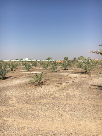 Alshaer Farm - United Arab Emirates|Sharjah|7XR9+9G4