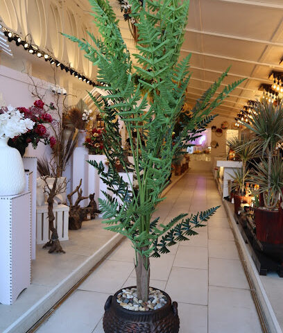 Roots Boutique - Ajman - +971 54 430 3115