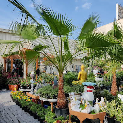 Dubai Garden Centre - Dubai - +971 4 590 4333