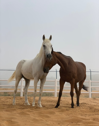 Malath Paddock Paradise - United Arab Emirates|Umm Al Quawain|Unnamed Road