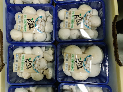 Eco Fresh LLC - Ajman - +971 7 243 7874
