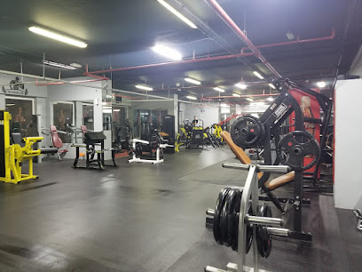 Den OEVER GYM - دين ويفر جيم صالة رياضية - Dubai - +971 9 606 1968