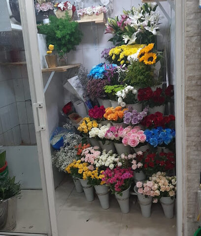 الفيروز للزهور - Ajman - +971 6 556 6007