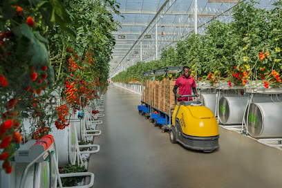 Pure Harvest Al Dahra Farm - Ajman -
