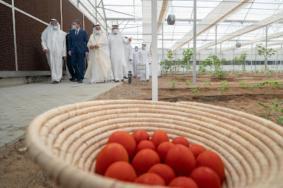 مشروع الصوبات الزراعية في مدينة الذيد - Ajman -
