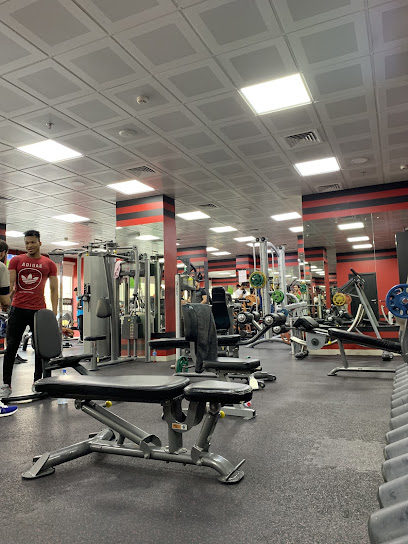 Iron Palace Gym - United Arab Emirates|Bani Yas - Baniyas West - Abu Dhabi|8J28+XMQ