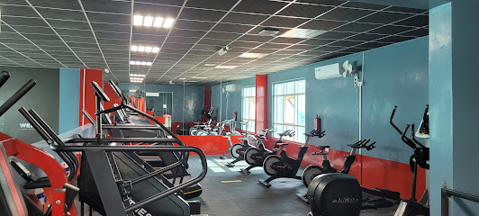 WELFIT GYM - Dubai -