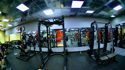 VIP GYM & FITNESS CENTER - Dubai - +971 58 105 6410