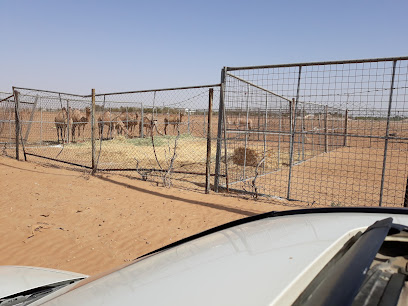 Zarouni Farm - Ajman -