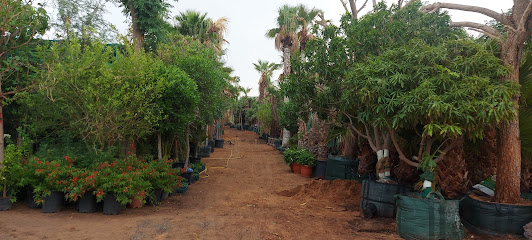 London Gardens - Dubai - +971 58 974 9824