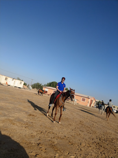AL HAZM STABLES - United Arab Emirates|Al Wathba - Abu Dhabi|5QF7+GC4