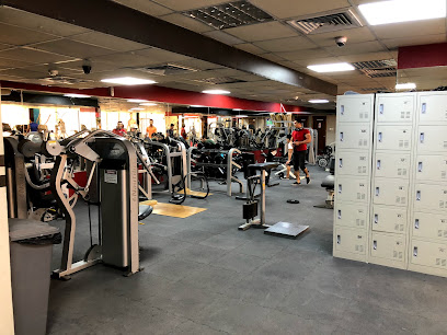 Power Gym Al Quoz - Dubai - +971 55 638 3178