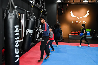 LEAD Studio (Fight and Fit) - Ajman - +971 4 422 5771