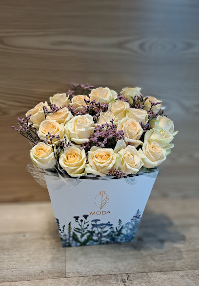 MODA FLOWER & CHOCOLATE - United Arab Emirates|Central District - Abu Dhabi|6QF5+PQ3