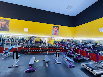 AL NAIF BODY FITNESS - Dubai - +971 58 109 0620