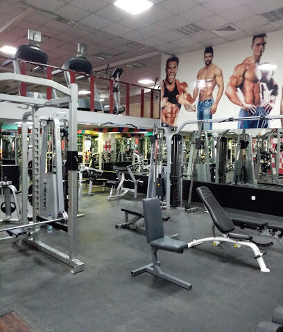 Techno Fitness Gym LLC - Dubai -