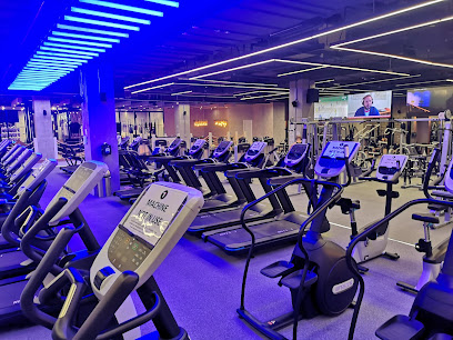 TRAIN strength & fitness - Dubai - +971 4 295 3989