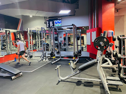 Snap Fitness Media City | Best Gym in Dubai - Dubai - +971 54 704 8619