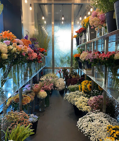 Fine Blooms - Ajman - +971 52 333 1122