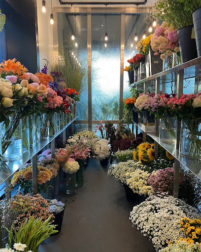 Fine Blooms - United Arab Emirates|Al Wasl - Dubai|56XX+43