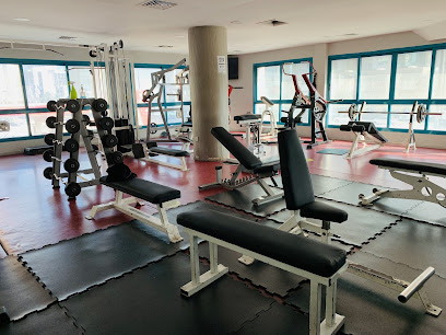 Platinum Health & Fitness Center - Ajman - +971 9 222 0733