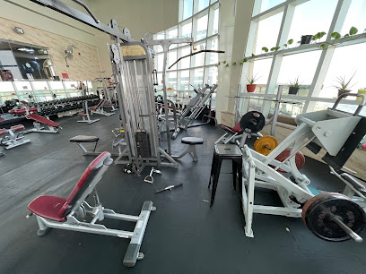 TOP FITNESS L.L.C GYM & Life style fitness center - Dubai - +971 52 396 5992