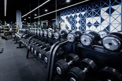 Rootz Fitness - Dubai - +971 2 681 9279