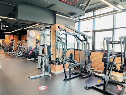 Body Abs Fitness Center - Dubai - +971 2 565 6606