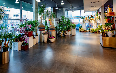 Camelia Flowers زهور كاميليا - Ajman - +971 4 339 1666