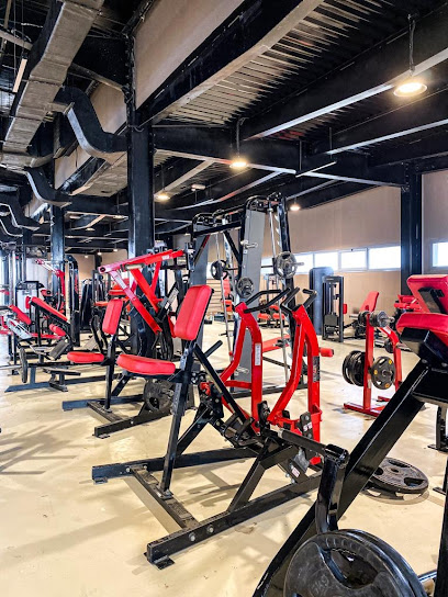 THE GYM - ذا جيم - United Arab Emirates|Al Hamidiya 1 - Ajman|ALSHAFEE ST|ALIMAM