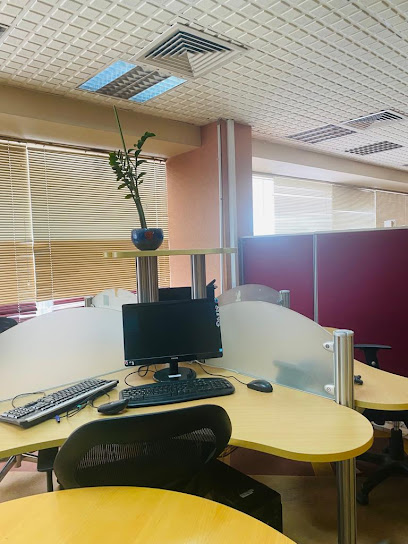Volga Tigris Digital Agency in Ajman - Digital Marketing Company in Ajman - United Arab Emirates|2 Al Nuaimia - Ajman|King Faisal St|Al Dhabi building