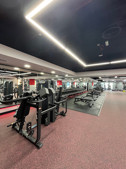 METROFITT Business Village - United Arab Emirates|Business Village - Dubai|Port Saeed