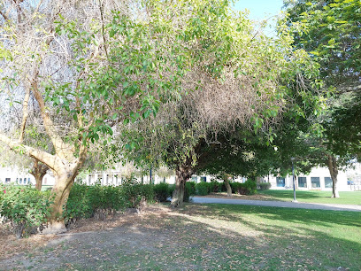 Ruwais palace - Dubai -
