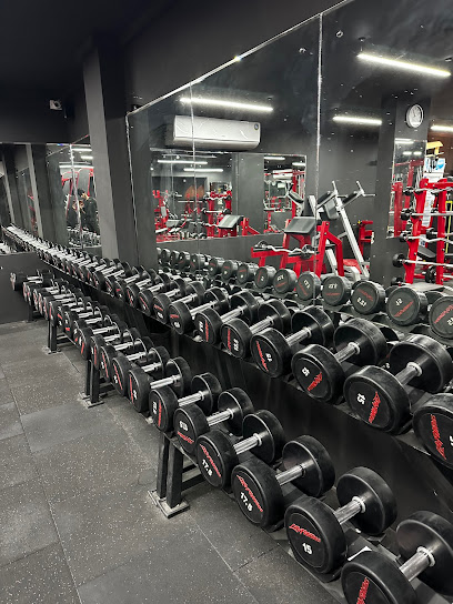 NEW MAX LIFE FITNESS GYM - United Arab Emirates|Al Muwaij'i - Shareat Al Muwaiji - Abu Dhabi|near New Karama center