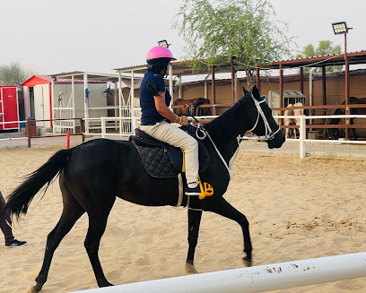 SQ7 Stables - Dubai - +971 50 452 2440