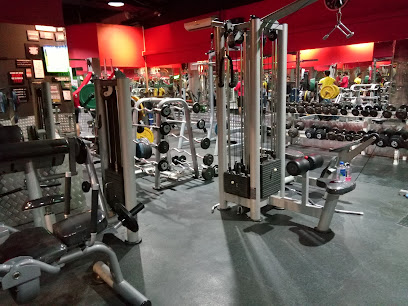 Be Fit Gym - Dubai - +971 58 880 1805