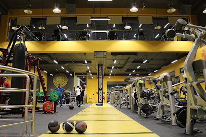 Toronto Star Body Building - Dubai - +971 6 543 3633