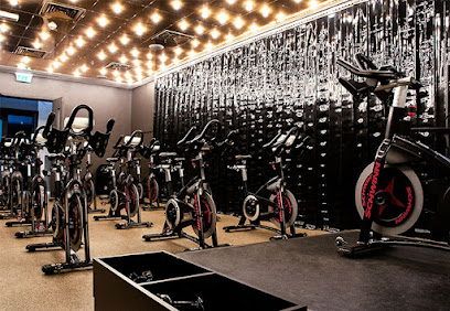 Rising Gym - Dubai - +971 9 222 9999