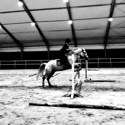 Al Hamra Jumping Club - Ajman - +971 4 289 2898
