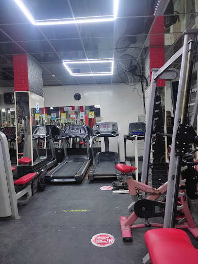 Al Fursan Gym - United Arab Emirates|Al Rashidiya 2 - Ajman|9CWX+VVW