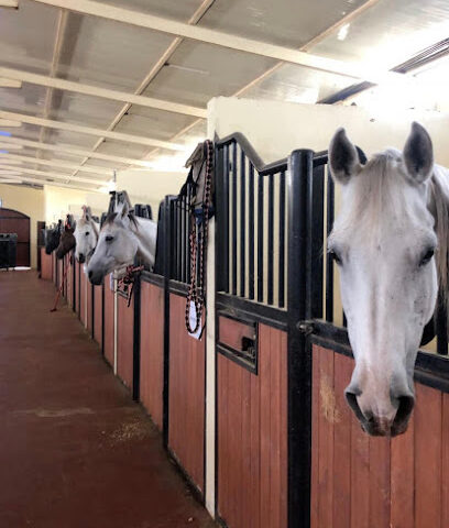 al khateri endurance stables - Dubai - +971 56 747 9750