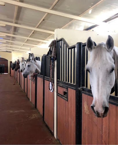 al khateri endurance stables - United Arab Emirates|Al Samhah - Abu Dhabi|MPCW+C35